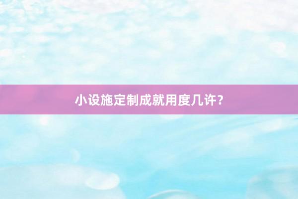 小设施定制成就用度几许？