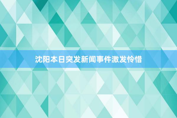 沈阳本日突发新闻事件激发怜惜