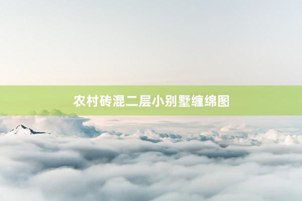 农村砖混二层小别墅缠绵图